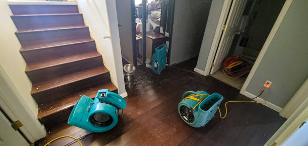 Best Flood damage cleanup  in Madison Center, CT