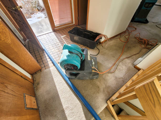 Best Water damage restoration services  in Madison Center, CT