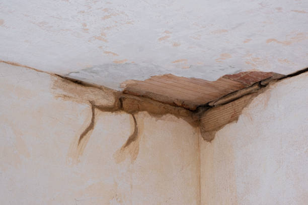 Best Mold removal after water damage  in Madison Center, CT