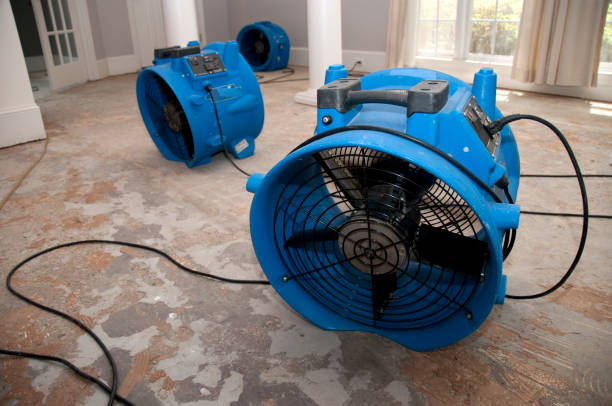Best Water damage restoration near me  in Madison Center, CT