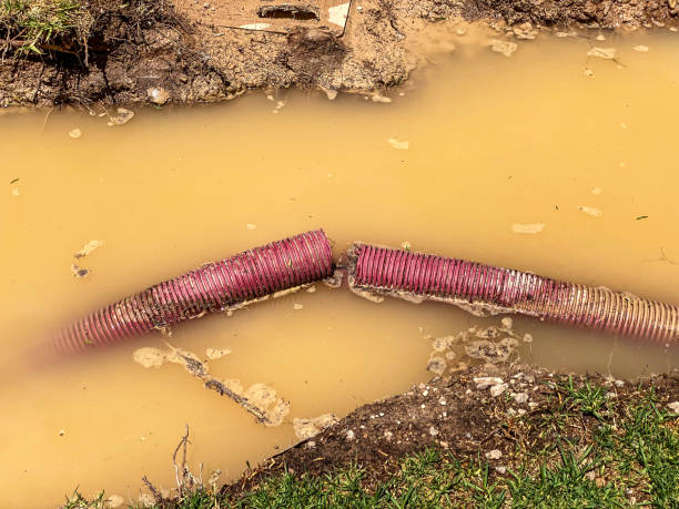Best Local water damage restoration  in Madison Center, CT